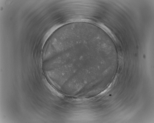 X0000074031244200609111706