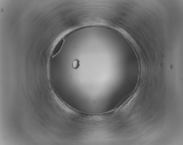 X0000074031246200609111706