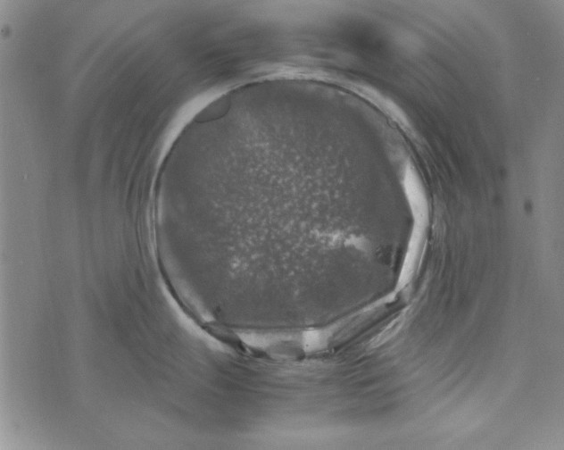 X0000074031247200609111706