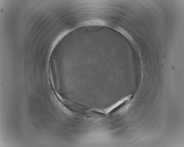 X0000074031248200609111706