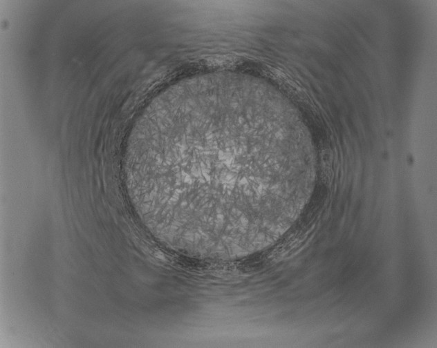 X0000074031249200609111705