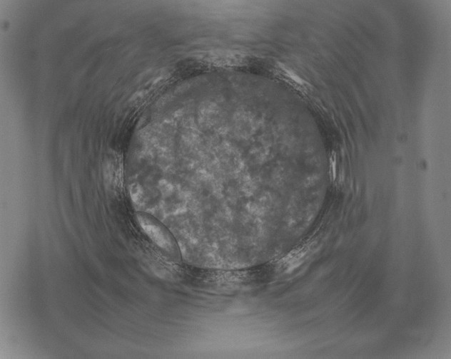 X0000074031251200609111705