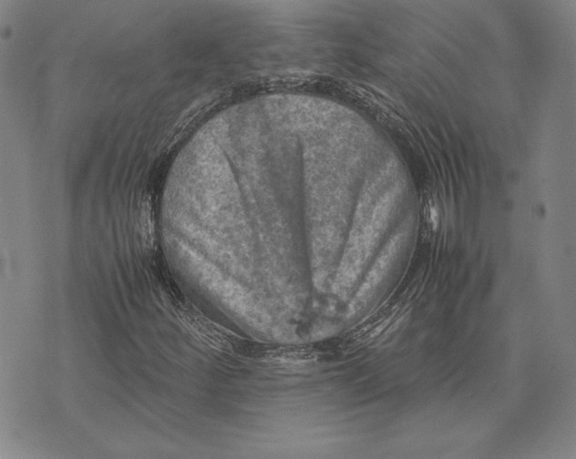 X0000074031252200609111705