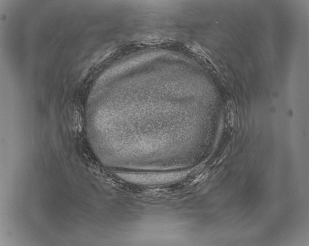 X0000074031253200609111705