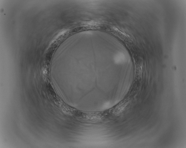 X0000074031254200609111705