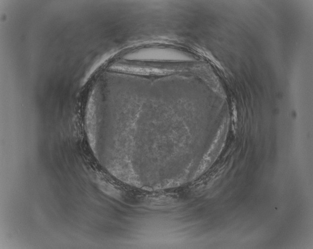 X0000074031256200609111705