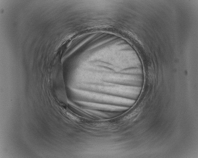 X0000074031257200609111705