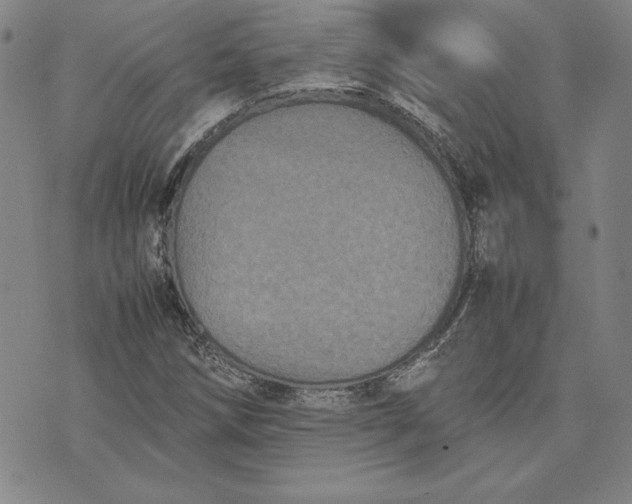 X0000074031258200609111705