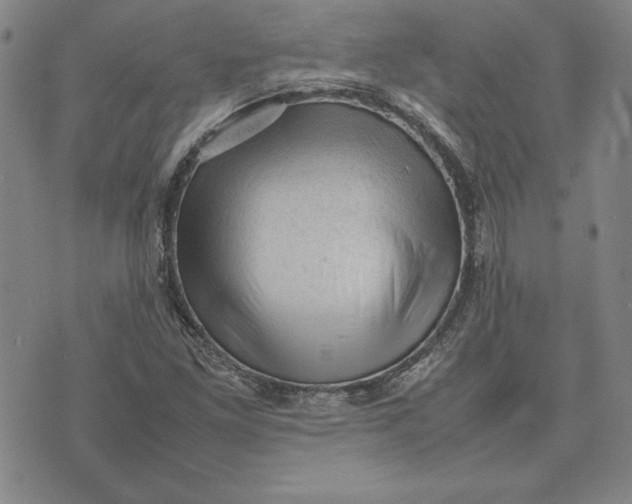 X0000074031261200609111705