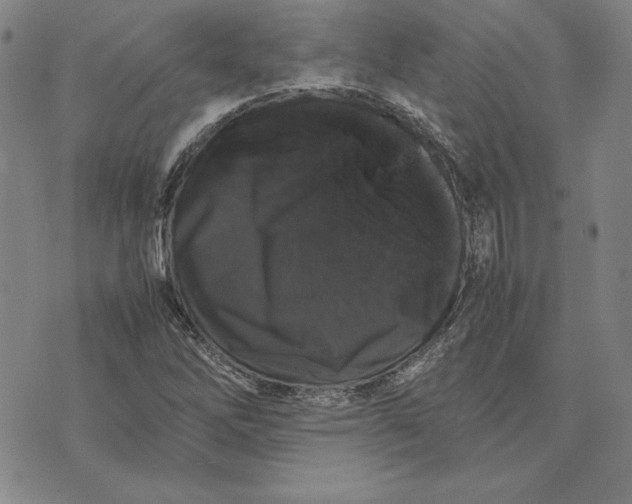 X0000074031262200609111705