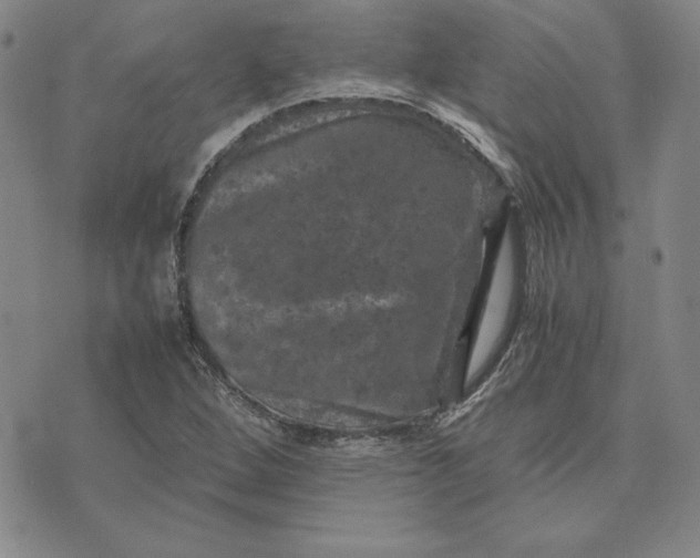 X0000074031264200609111705