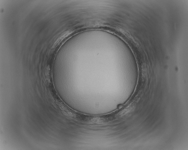 X0000074031265200609111705