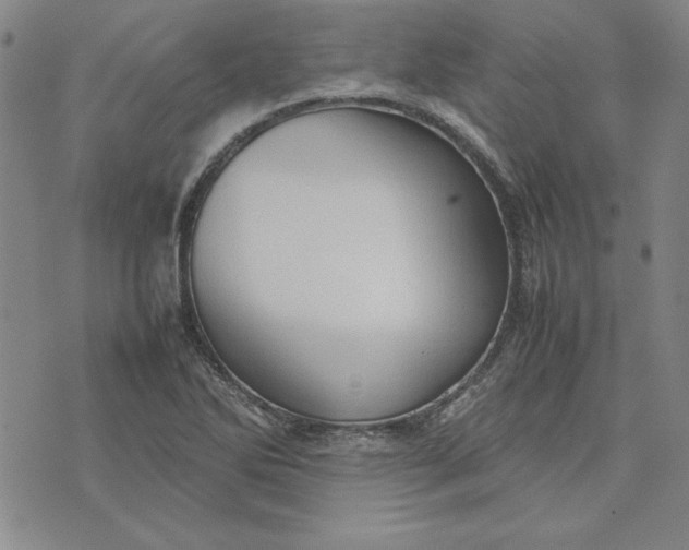 X0000074031270200609111705