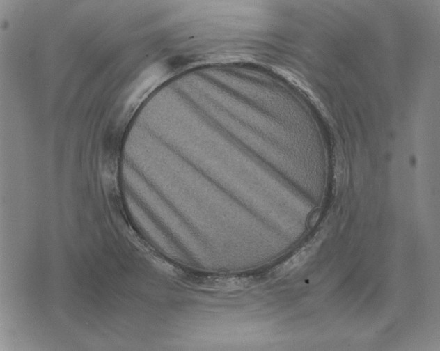 X0000074031273200609111704