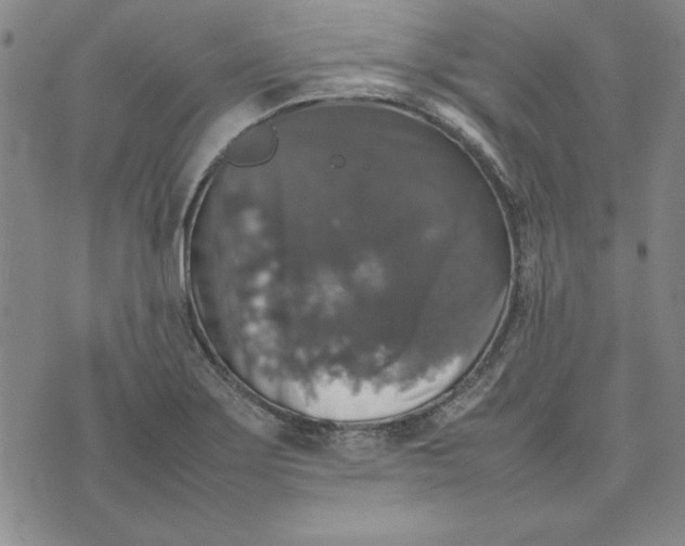 X0000074031275200609111704