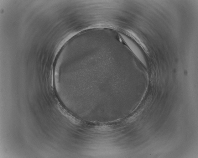 X0000074031276200609111704