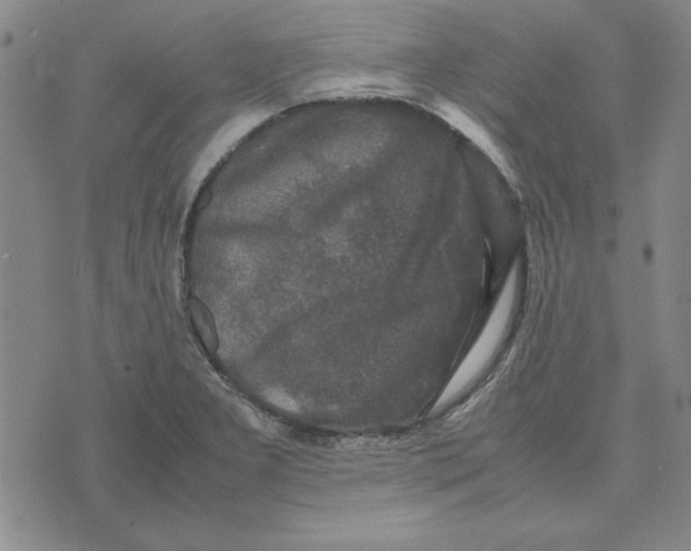 X0000074031277200609111704