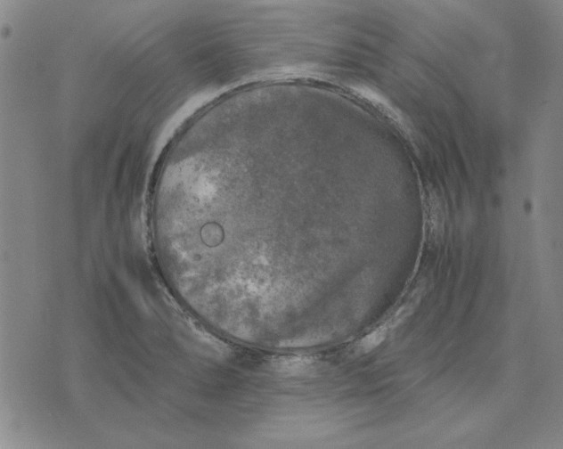 X0000074031278200609111704