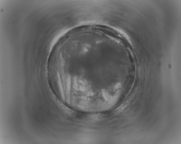 X0000074031279200609111704