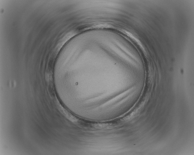 X0000074031281200609111704