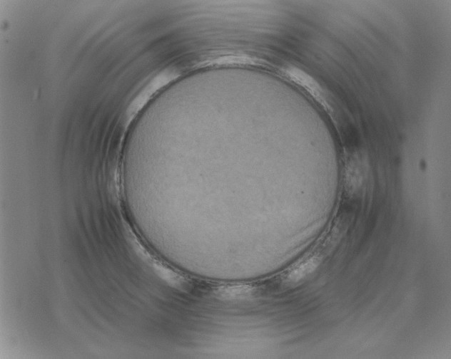 X0000074031282200609111704