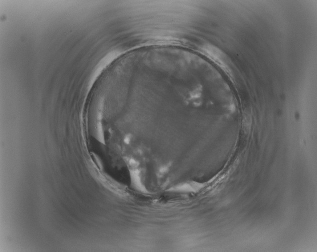 X0000074031283200609111704