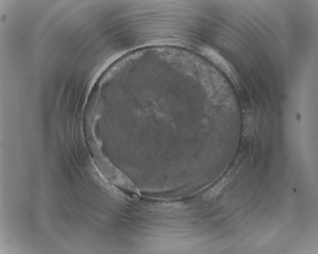 X0000074031284200609111704