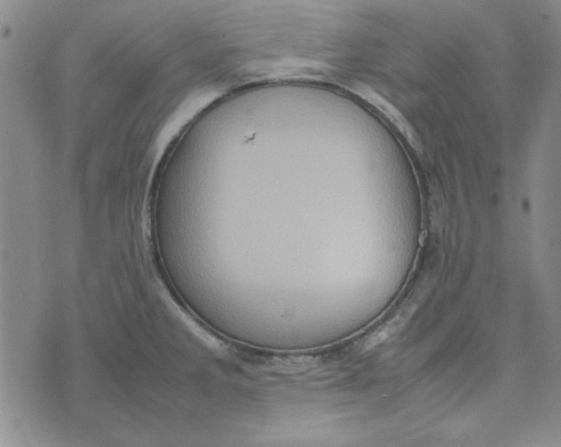 X0000074031285200609111704