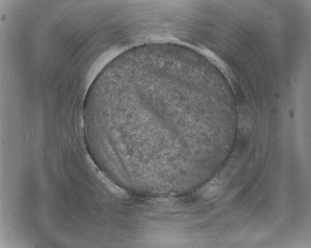 X0000074031287200609111704