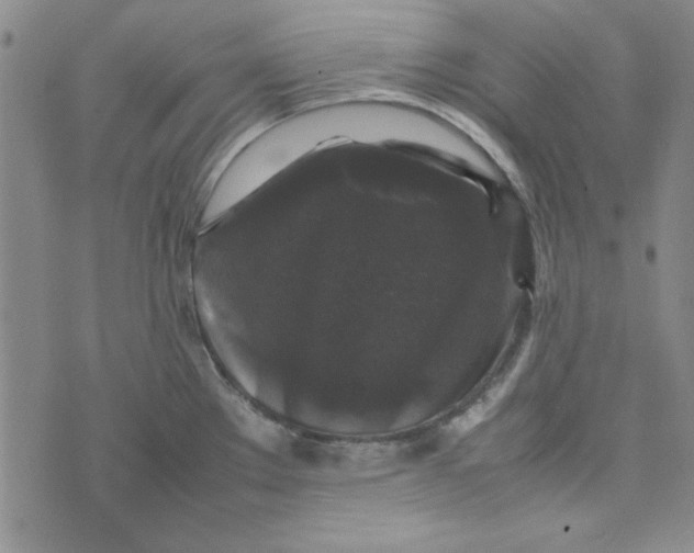 X0000074031289200609111704