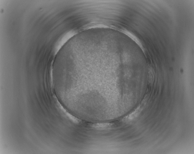 X0000074031290200609111704