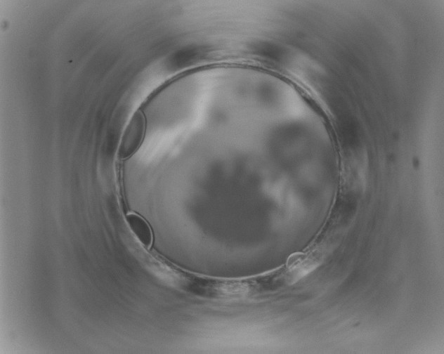 X0000074031291200609111704