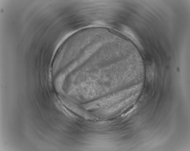 X0000074031292200609111704