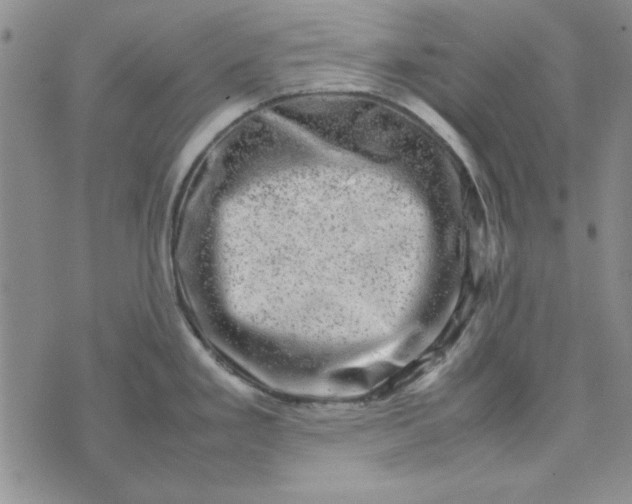 X0000074031293200609111704