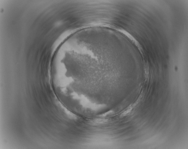 X0000074031294200609111704