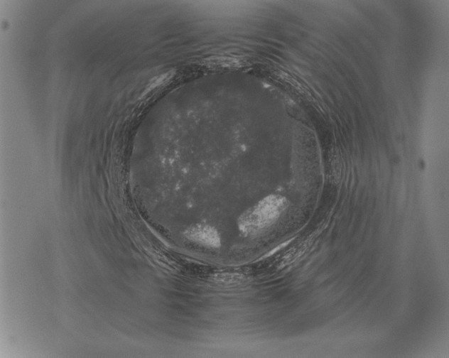 X0000074031297200609111703