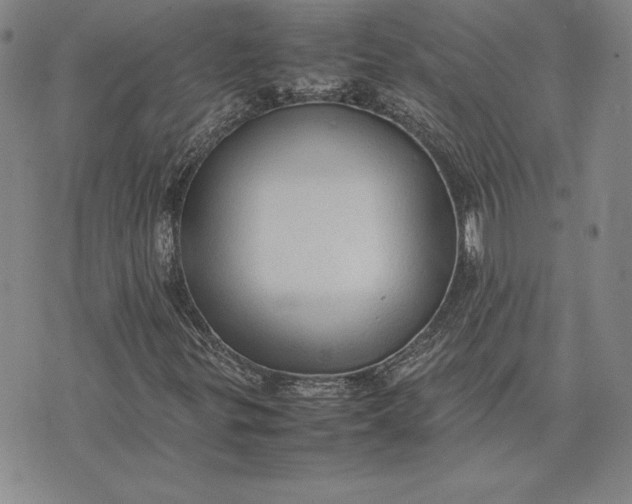 X0000074031299200609111703