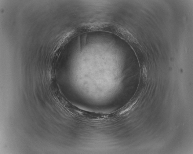 X0000074031300200609111703