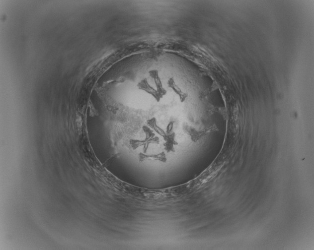 X0000074031302200609111703