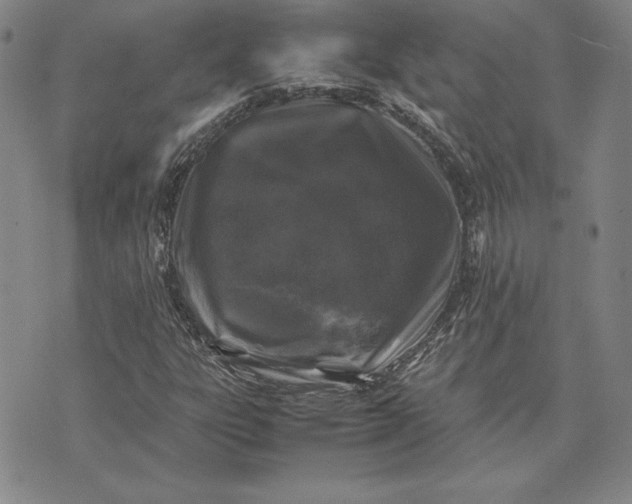 X0000074031303200609111703