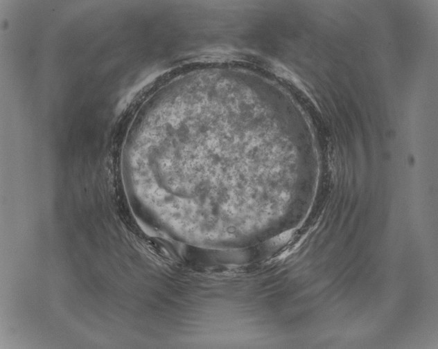 X0000074031304200609111703