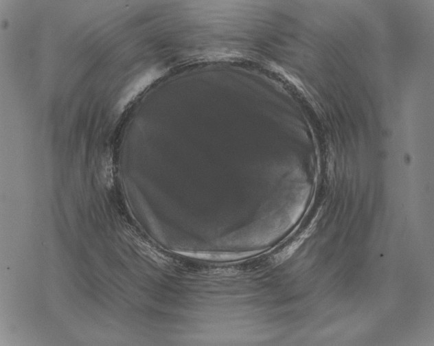 X0000074031306200609111703