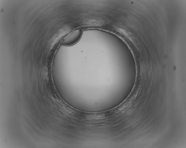 X0000074031307200609111703