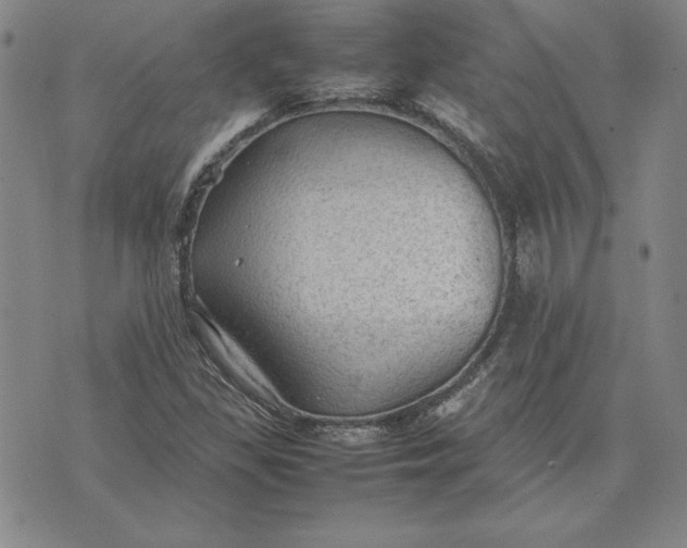 X0000074031309200609111703