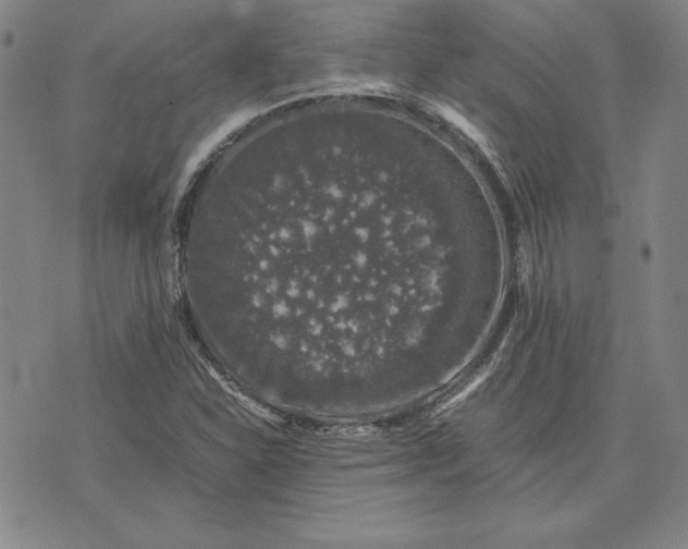 X0000074031310200609111704