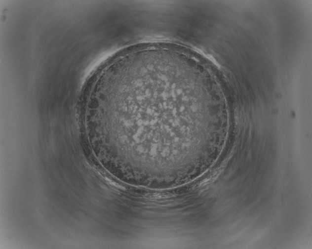 X0000074031311200609111704