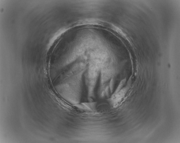 X0000074031312200609111704