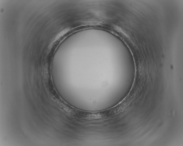 X0000074031315200609111704