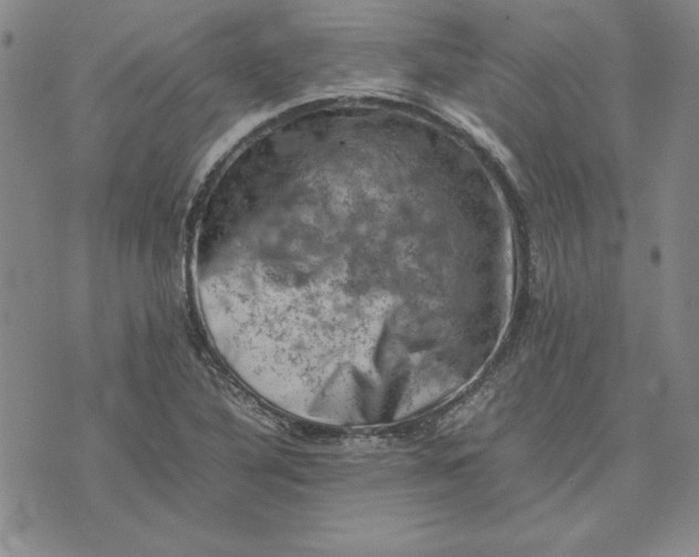 X0000074031316200609111704