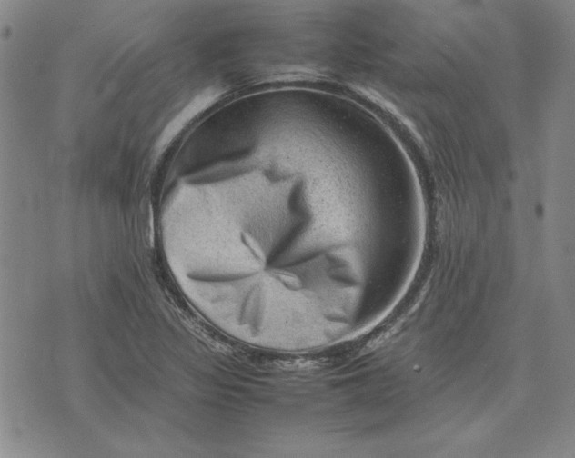 X0000074031317200609111704